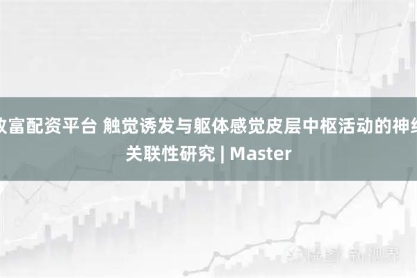 致富配资平台 触觉诱发与躯体感觉皮层中枢活动的神经关联性研究 | Master